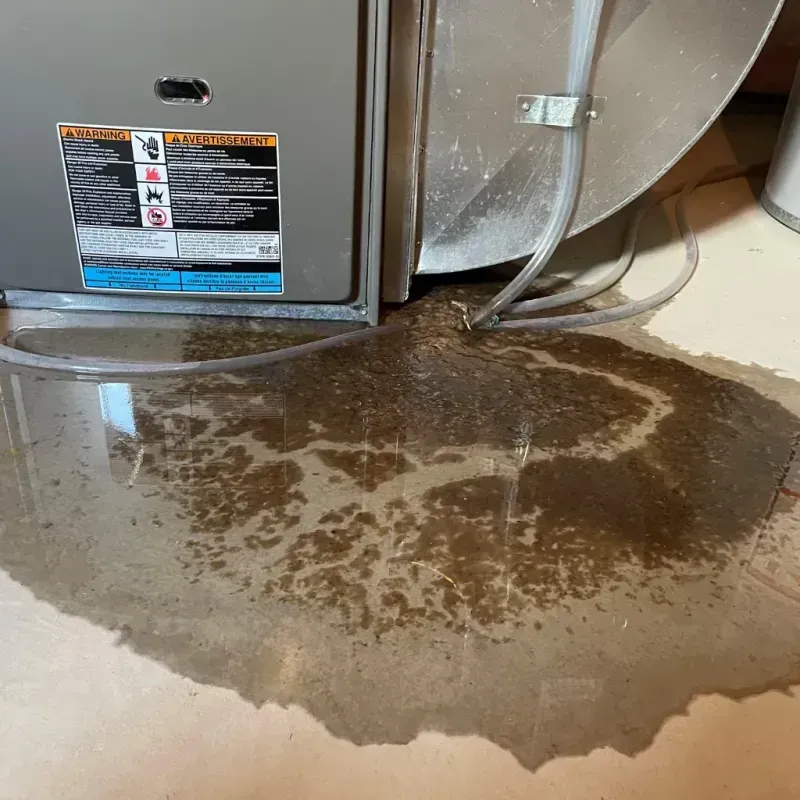 Appliance Leak Cleanup in Pennington County, MN